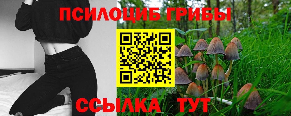 Галлюциногенные грибы мухоморы  Псилоцибиновые грибы прущие грибы  Вход с VPN  Нижневартовск 