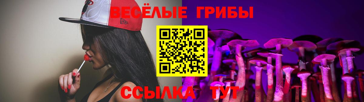 Галлюциногенные грибы GOLDEN TEACHER Нижневартовск